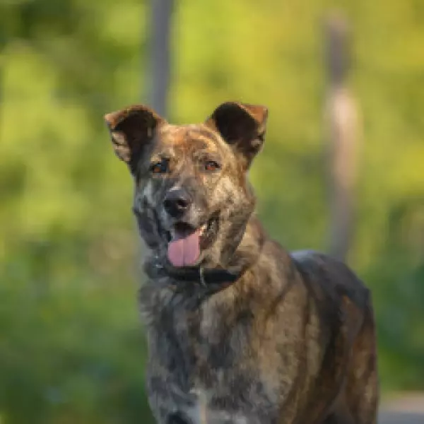 Bild 3 von Glücksfelle