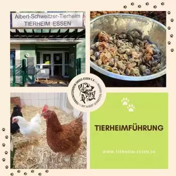 Führung im Tierheim Essen
