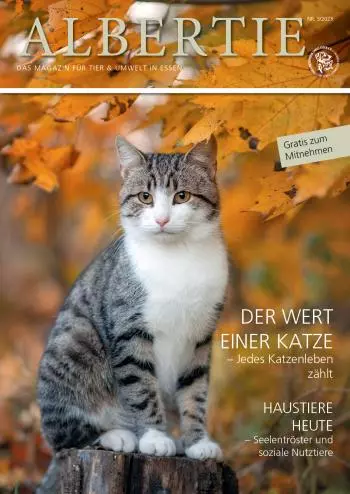 Albertie Ausgabe 04/2023